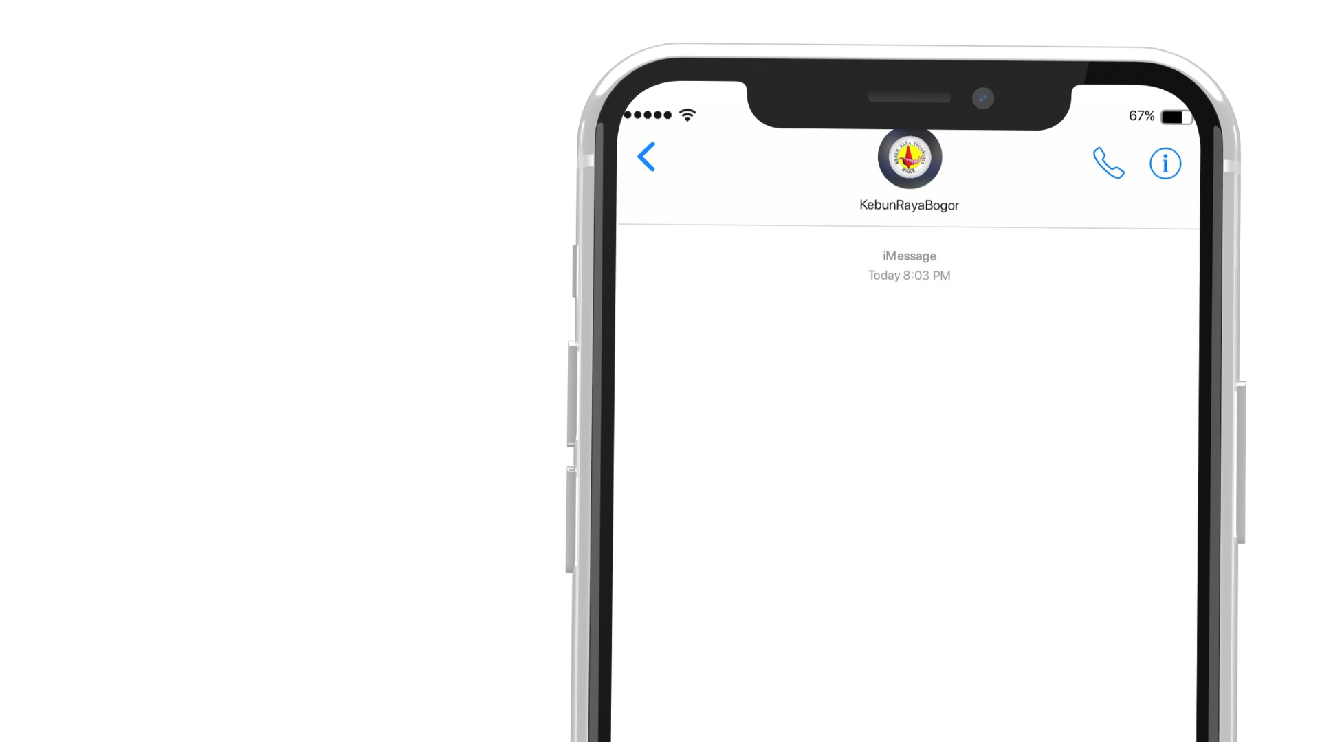 Chat Interface